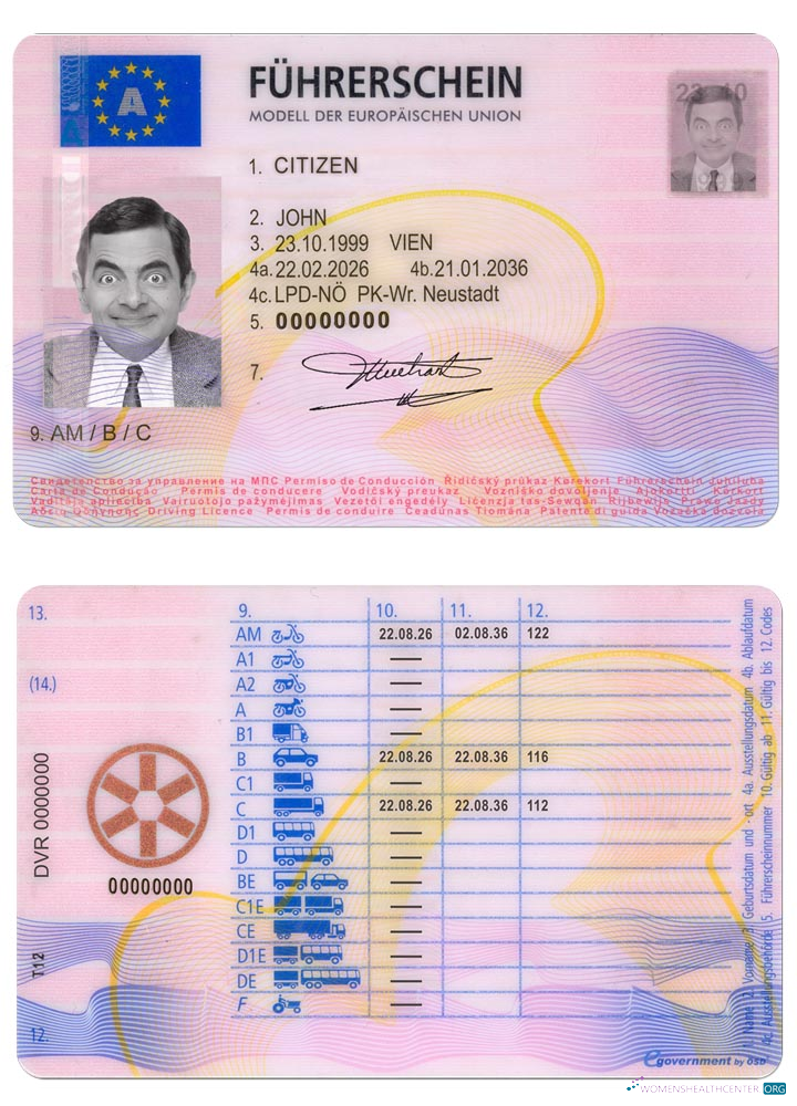 download Austria driving license 2013   present